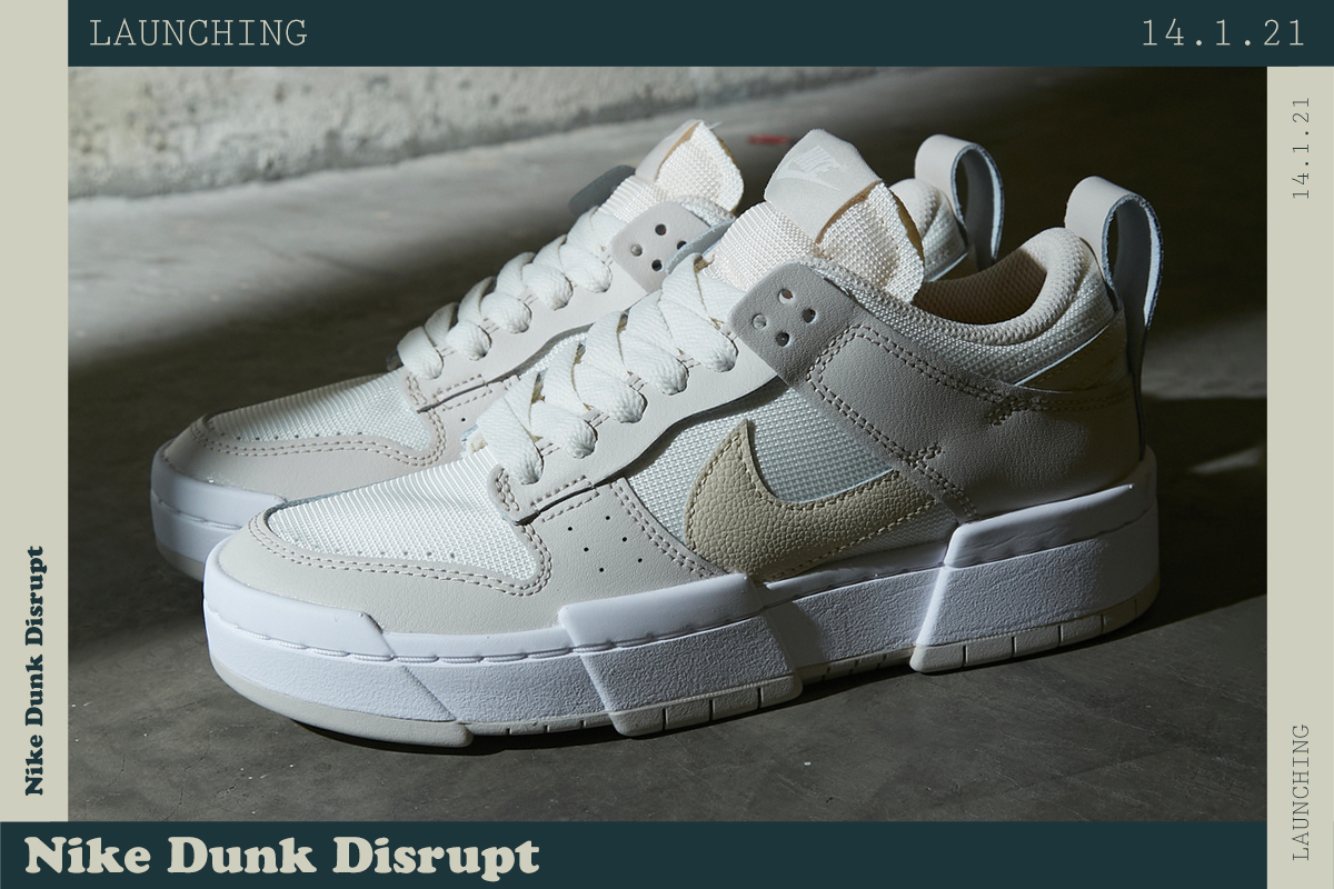 Nike Dunks - Shoe Diary